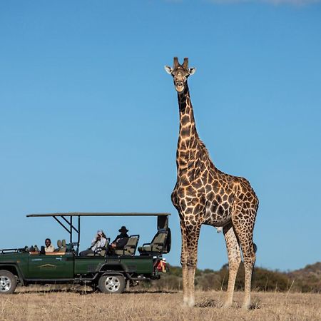 Вилла Safari Plains Mabula Game Reserve Экстерьер фото