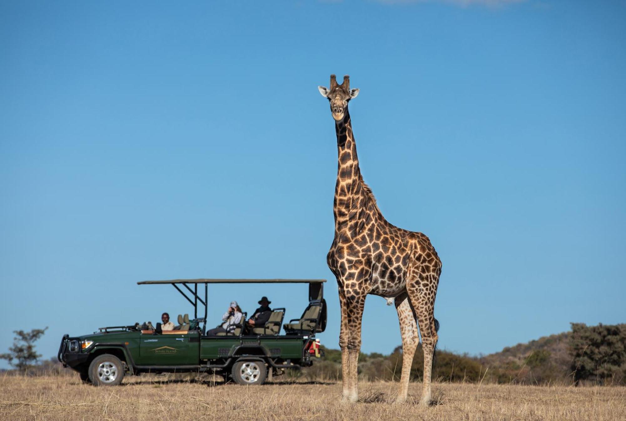 Вилла Safari Plains Mabula Game Reserve Экстерьер фото