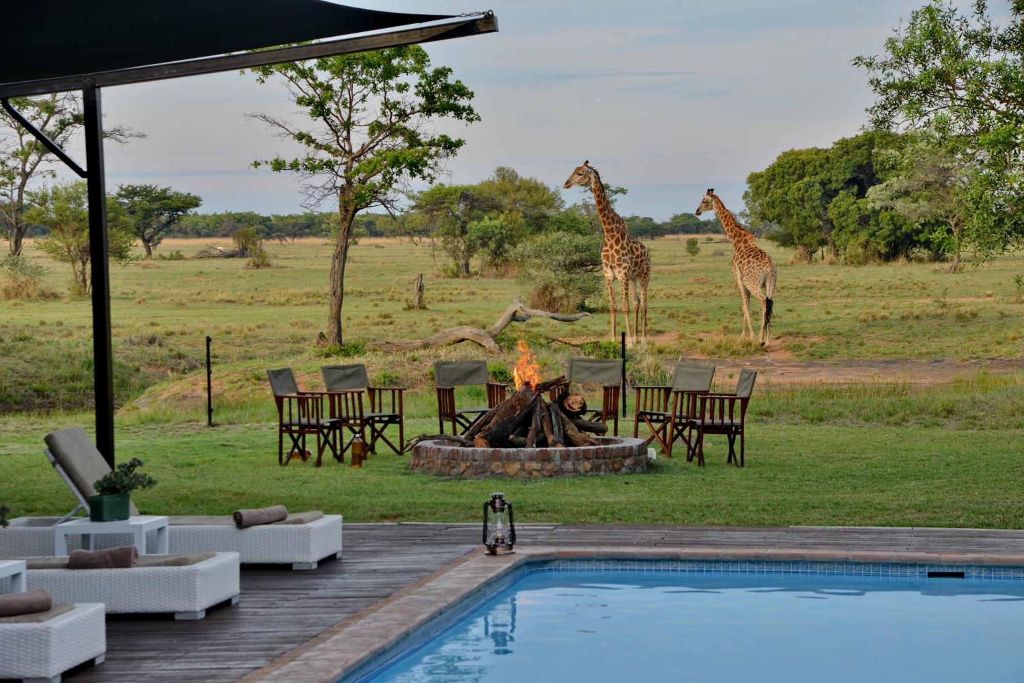 Вилла Safari Plains Mabula Game Reserve Экстерьер фото